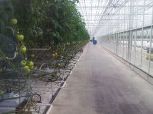 BRA Kopsapulce SIA 22Getlini EKO22 31.07.2014 6