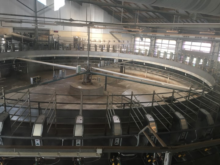 BRA kopsapulce agrofirma 22Tervete22 27.09.2018. 3
